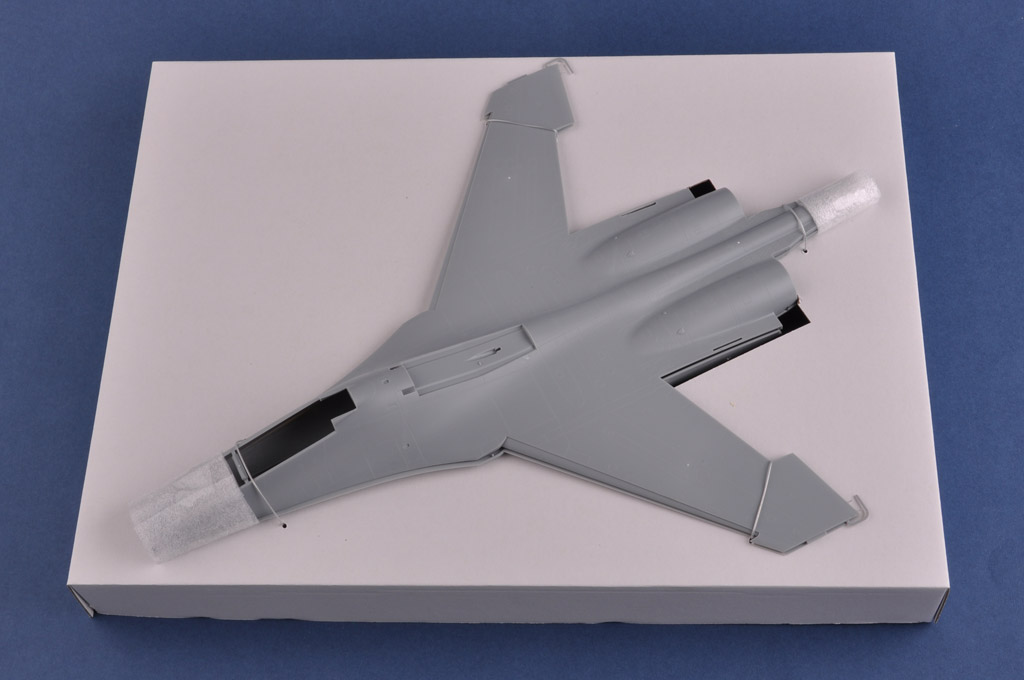1/48 Su-27 UB Flanker C