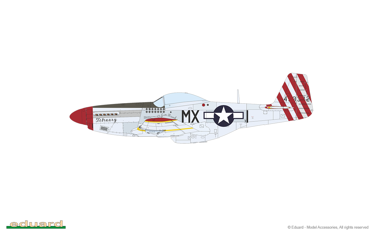 1/48 RED TAILS & Co. DUAL COMBO***