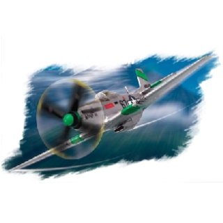 1/72  P-51D "mustang"