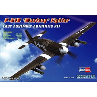 1/72 P-51B “Mustang” Fighter
