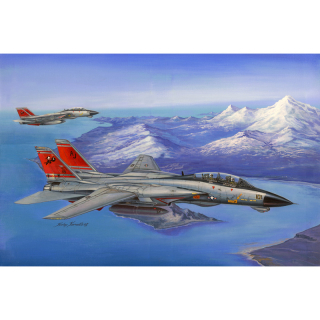 1/48  F-14D Super Tomcat