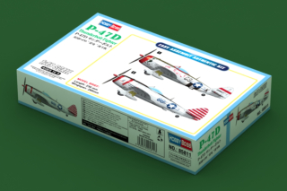 1/48 P-47D Thunderbolt Fighter