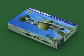 1/48 P-61A Black Widow